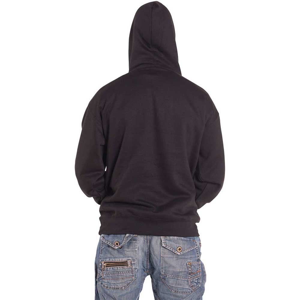 Alice In Chains Circle Emblem Pullover Hoodie product image 2